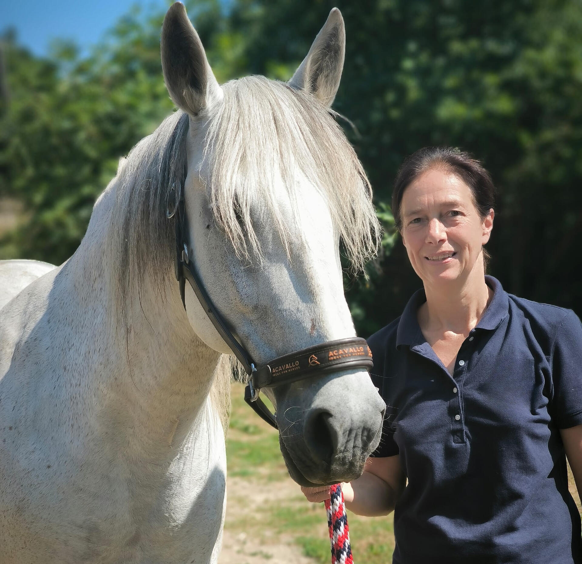 Cheval avec Anne Phyto Equine & Co