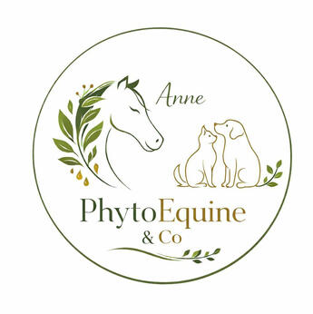 Logo de PhytoEquine & Co Logo de PhytoEquine & Co